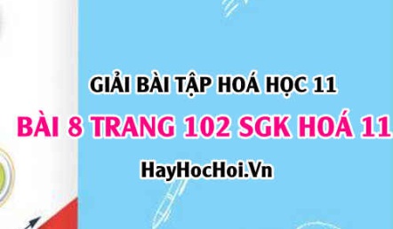 Giải bài 8 trang 102 SGK Hoá 11: Cấu trúc phân tử hợp chất hữu cơ